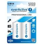 everActive Professional Ready to Use 5000mAh C akumuliatorius, 2 vnt.