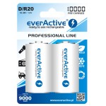 everActive Professional Ready to Use 10000mAh D akumuliatorius, 2 vnt.